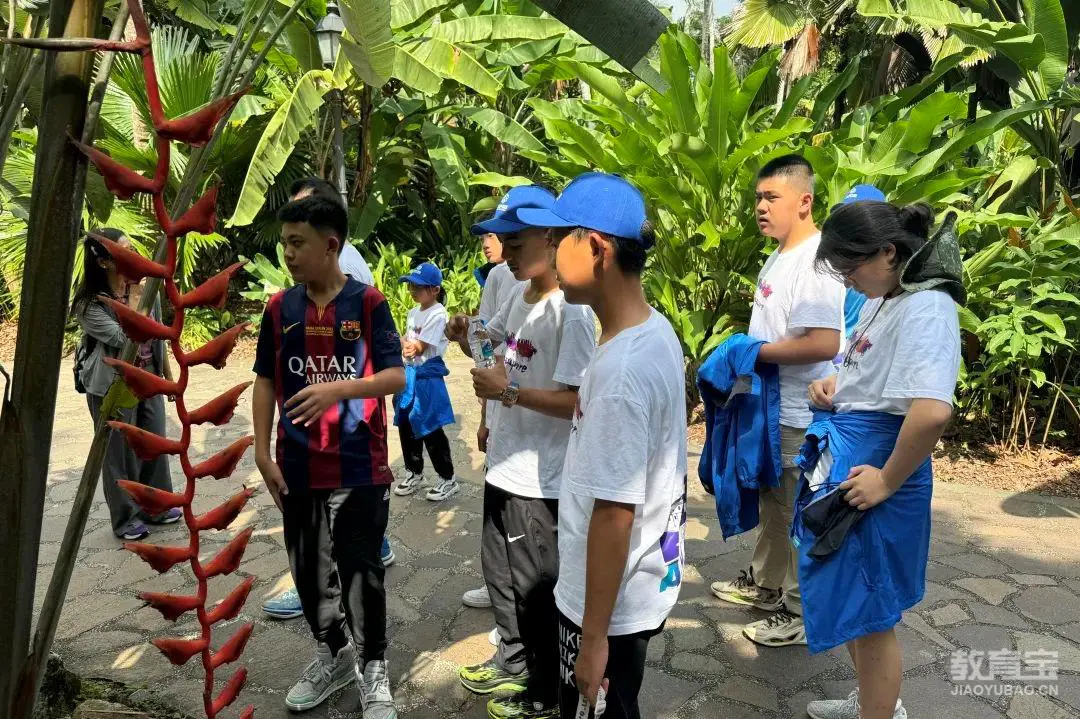 如何制定智能篮球训练计划_2
